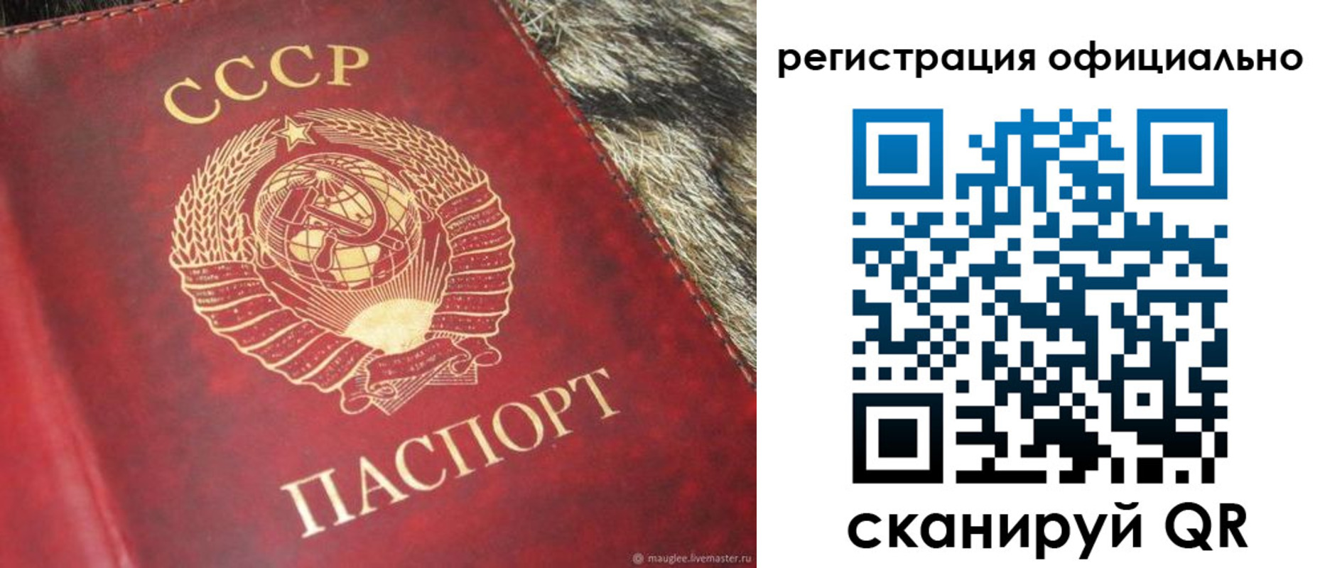 временная регистрация надежно в Пестово